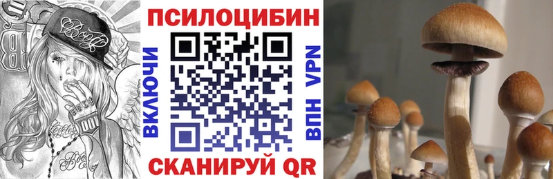 Галлюциногенные грибы MAGIC MUSHROOMS  Купить  Ликино-Дулёво 
